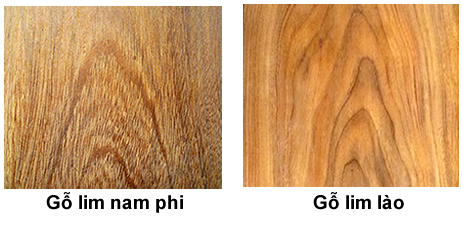 Nên lựa chọn cửa gỗ Lim Lào hay cửa gỗ Lim Nam Phi?